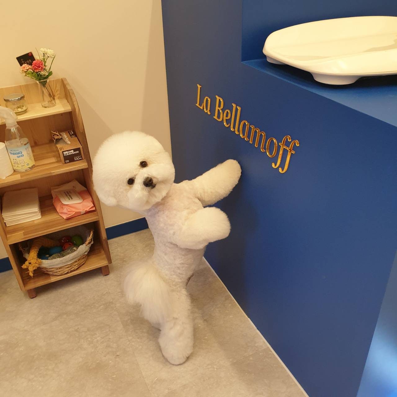 La Bellamoff 店内